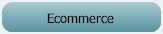 Ecommerce